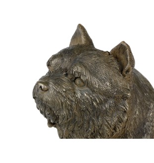 Norwich Terrier głowa na kamieniu Art-Dog